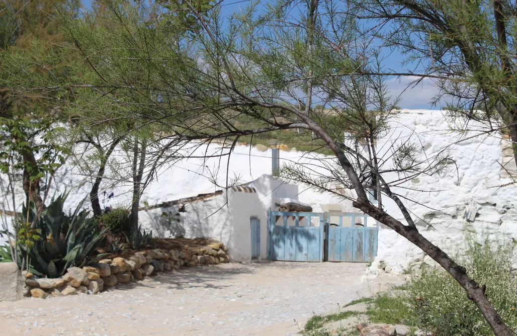 Unterkunft AlohaCamp Cuevas Aljatib 1