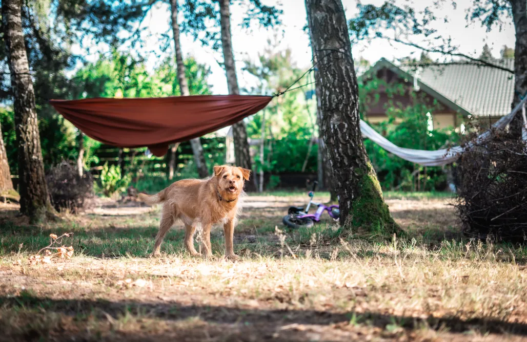 Osiedle Wilga noclegi WieloHome 1