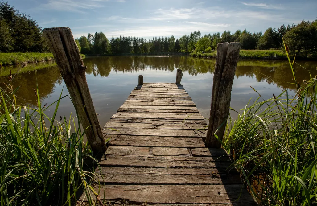 AlohaCamp accommodation Miejsce kamperowe - Zacisze pod Zającem 2