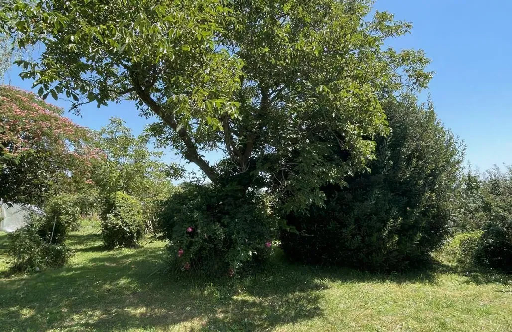 La Vie des Cimes - Casa rural acogedora & Estudio de yoga! AlohaCamp