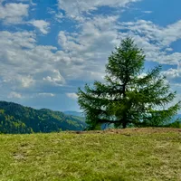 Renata propietario Domek Konstancji w Pieninach