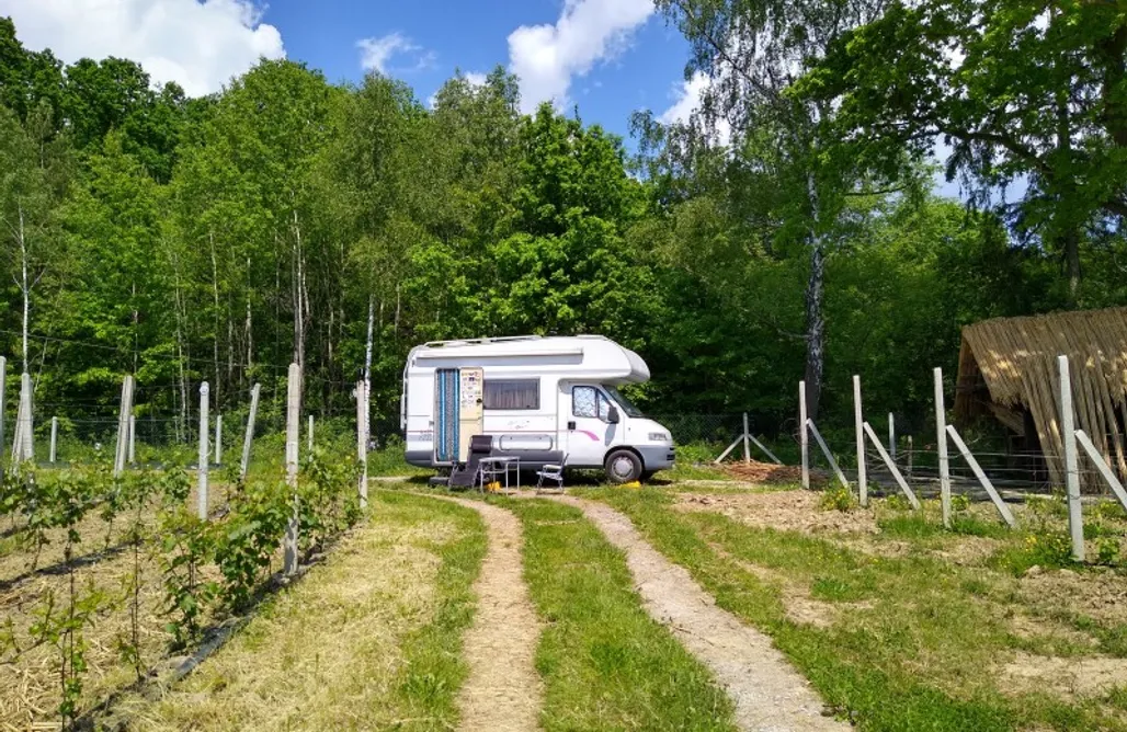 noclegi AlohaCamp Miejsce kamperowe - Winnica Rajska 2