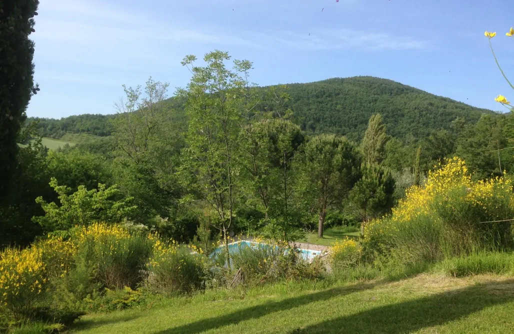 Alloggio AlohaCamp Agriturismo Basaletto 4