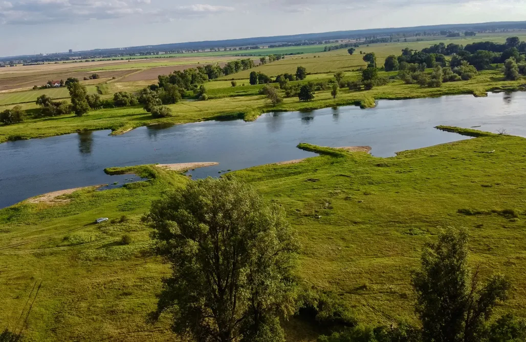 AlohaCamp Rzeka i las  1