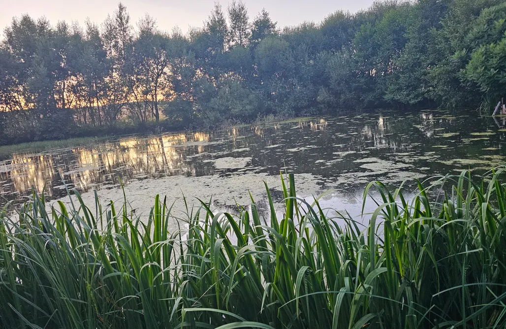 Zielona Dolina  AlohaCamp