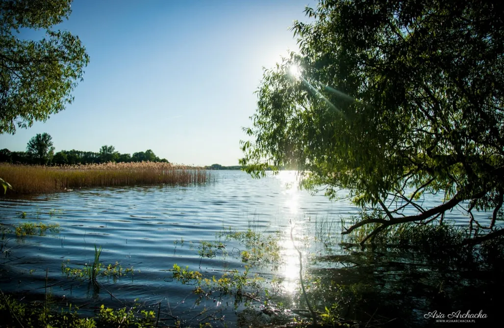 noclegi AlohaCamp Domek na Polanie nad jeziorem. 5