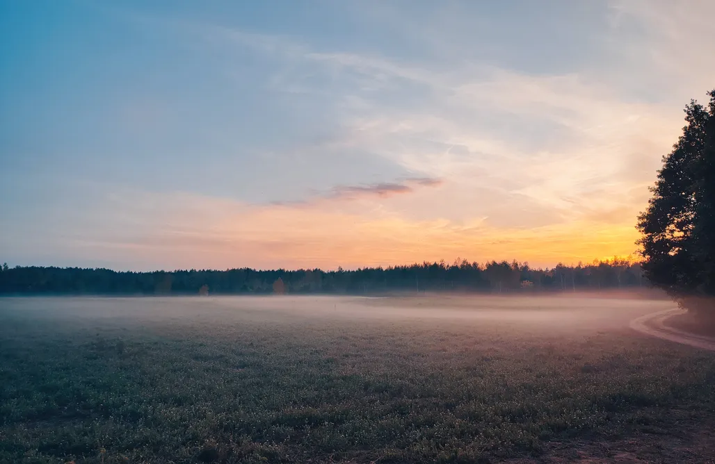 hebergement AlohaCamp Przyjedź Tutaj 3