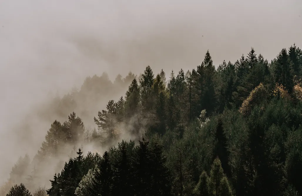 Rajcza Domki Babiogórska Chata - Zawoja 1