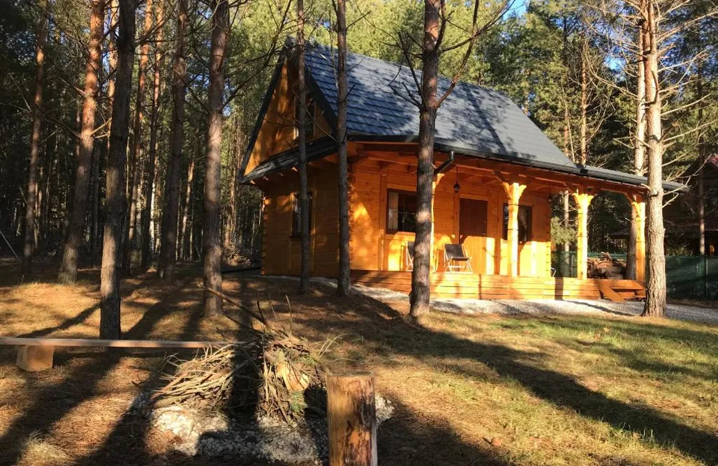 AlohaCamp FoRest Inn 2