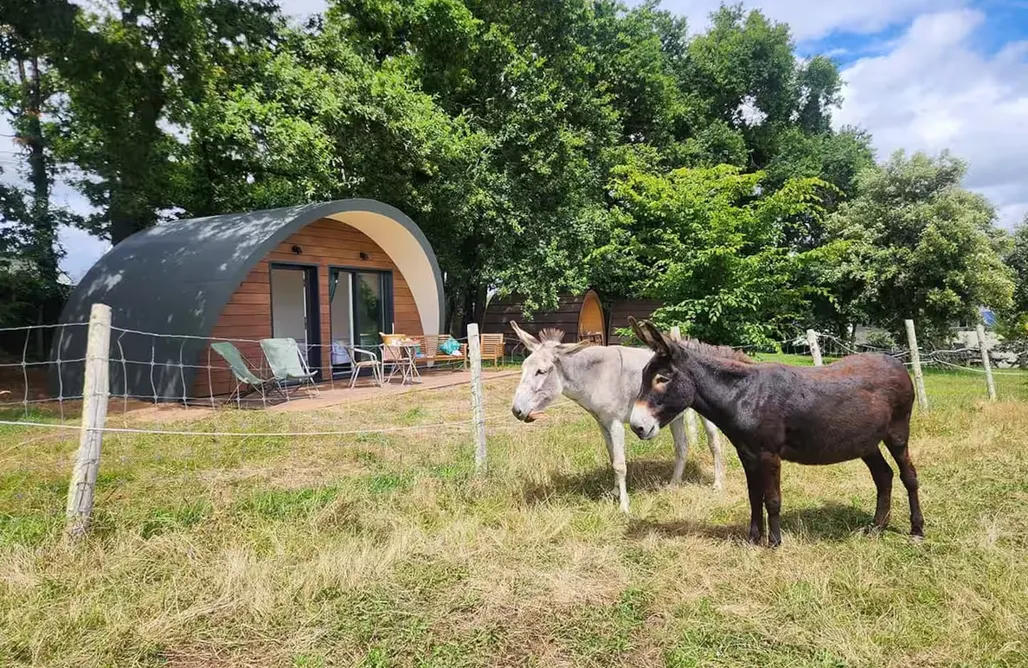 Vacanza Spagna Mare Ecolodge 2 pers.  1