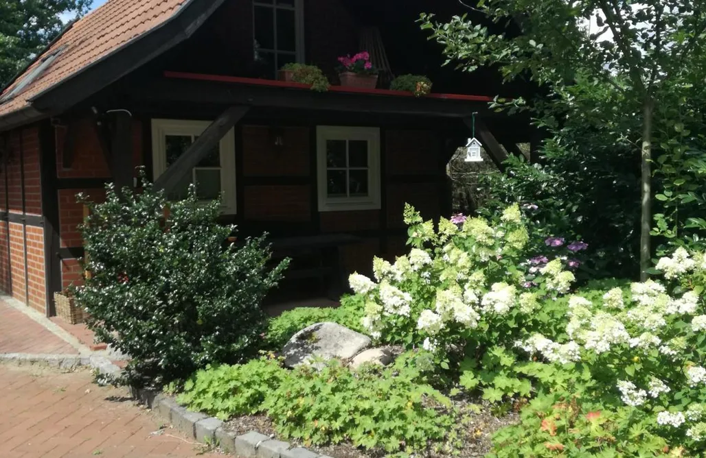 Ferienhaus Nordsee mit Hund Ferienhaus in Rumke 3