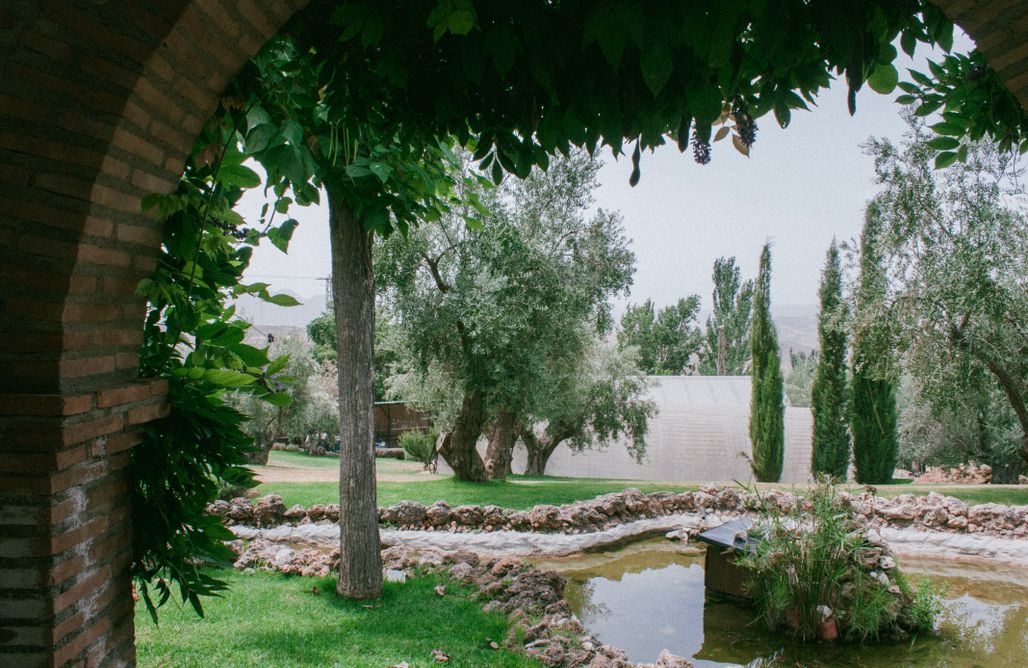 AlohaCamp Junior Suite con cocina y 2 camas 1