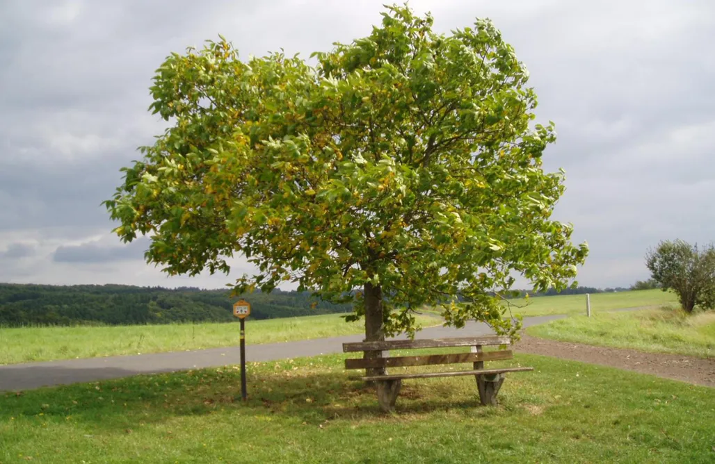 Urlaub mit Kindern Eifelcottage Family 7 3