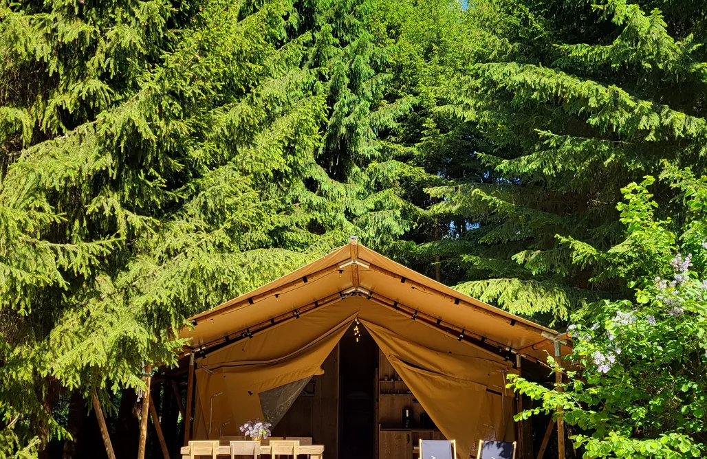 Hébergement AlohaCamp wolny las mazurie - glamping 4