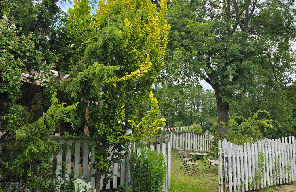 alojamientos AlohaCamp Biały Domek Zawady 4 1