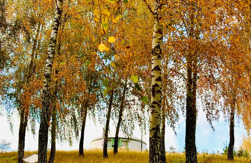 noclegi AlohaCamp Szumi Brzoza   4