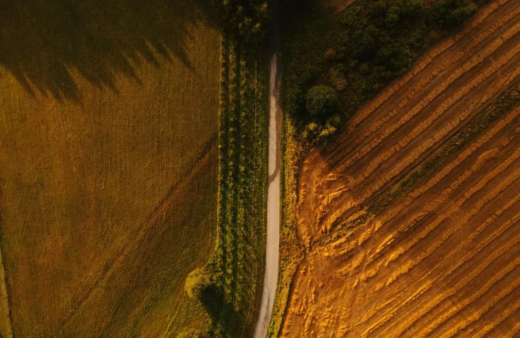 Unterkunft AlohaCamp Osada Pyrówki  1