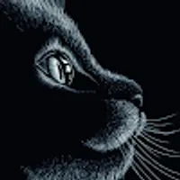 Margarita użytkownik