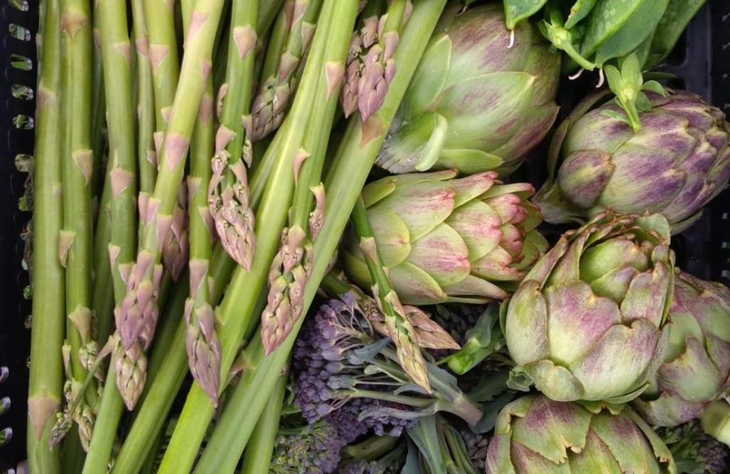 AlohaCamp Casa de un dormitorio 1