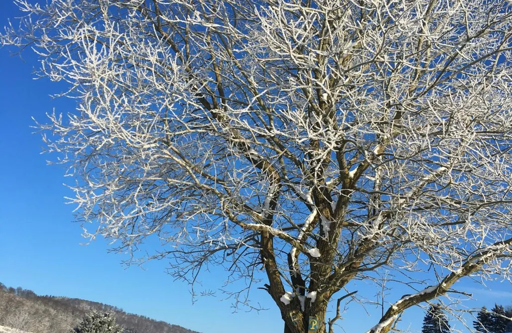 AlohaCamp accommodation Wie im Himmel 1