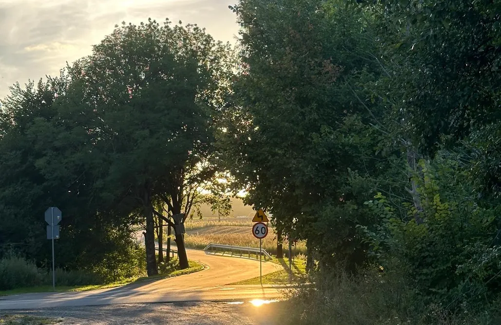 Bory Tucholskie Domek Leśny Domek Świekatowo 1
