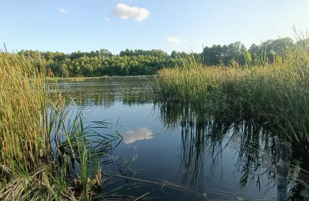 Pole Namiotowe Zakopane Miejsce kamperowe - Klonowa Przystań  2