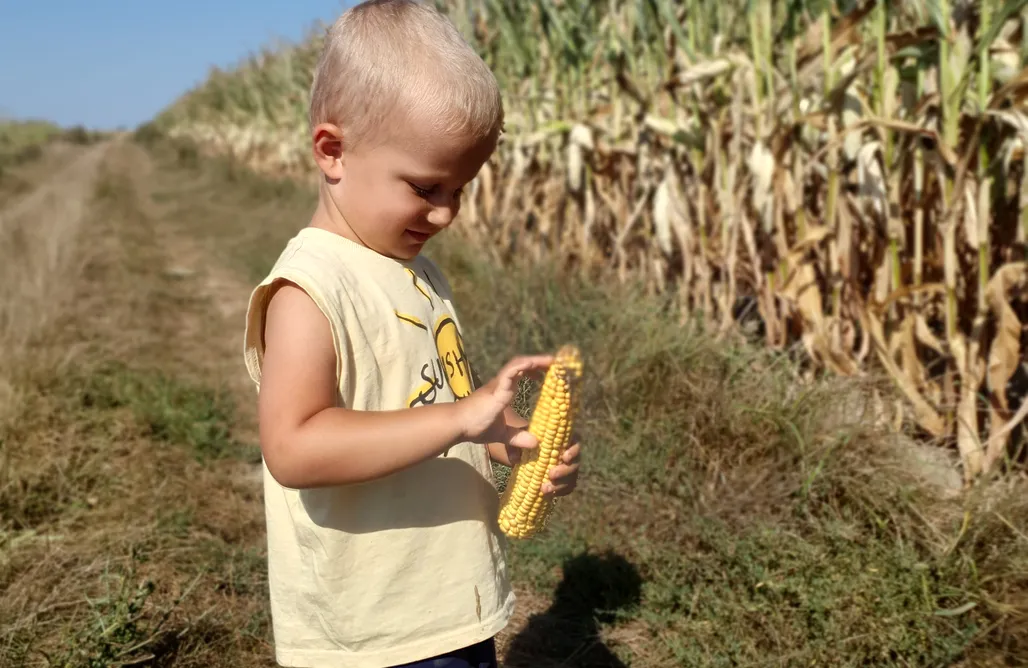 noclegi AlohaCamp Siedlisko Orla 1
