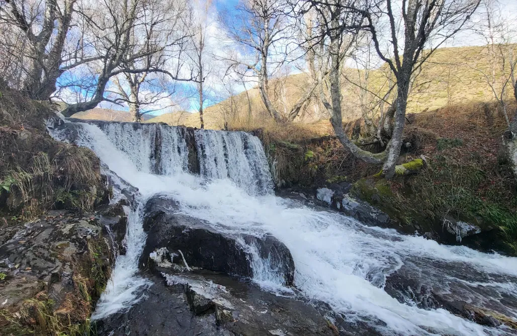 AlohaCamp Habitación doble - parejas 2