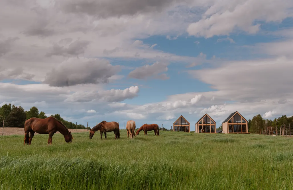 noclegi AlohaCamp Ranczo Rosochacz  3