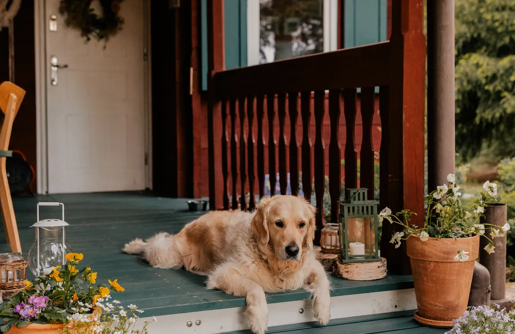 AlohaCamp accommodation Chata Nad Liwcem 4