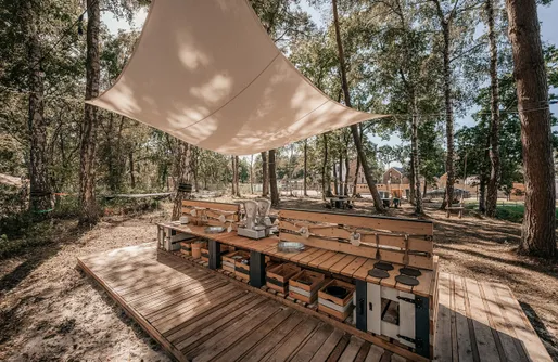 Zdjęcie obiektu A morze las