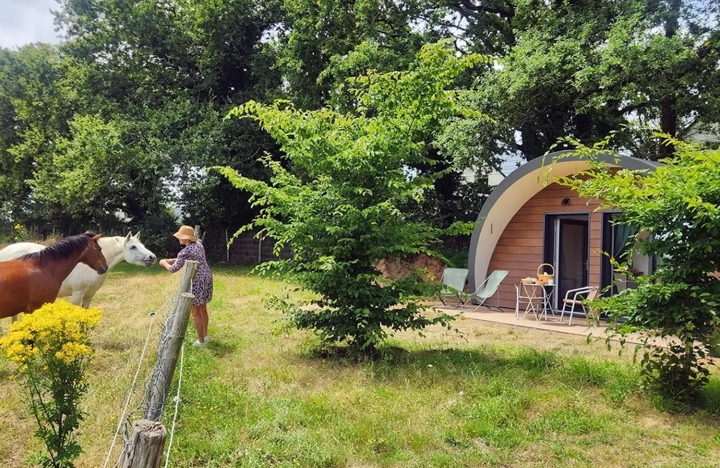 Alloggio AlohaCamp Ecolodge 2 pers.  1