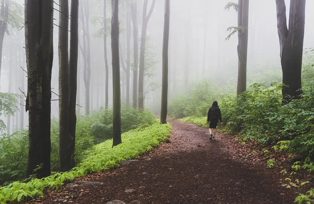 AlohaCamp Montanum 1