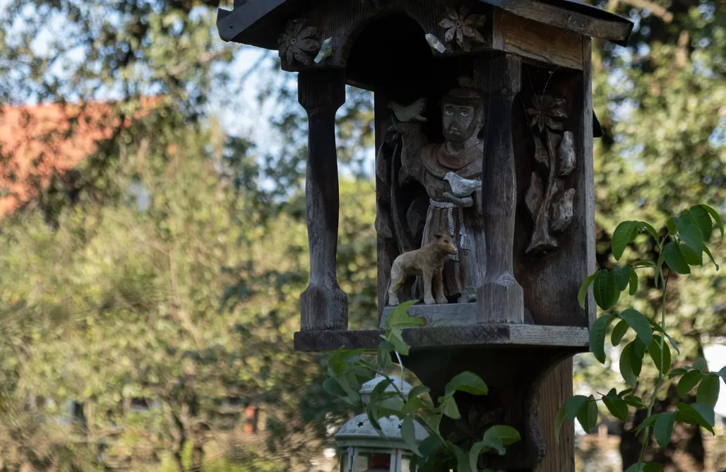 Domki Solina Agroturystyka Ropienka 3