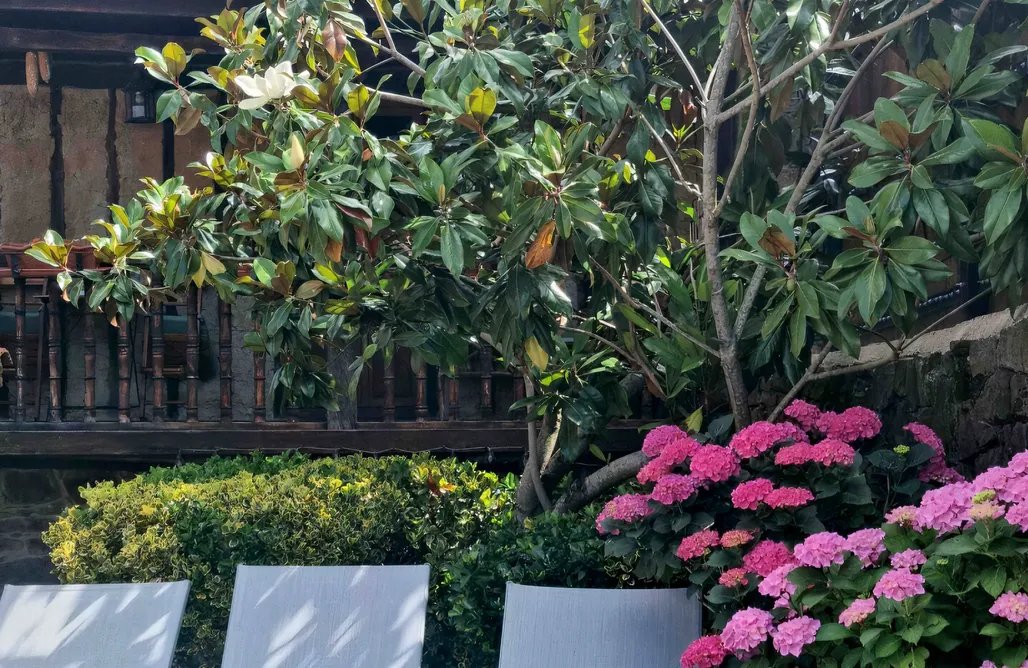 AlohaCamp Apartamento de un dormitorio "Juegos" 1