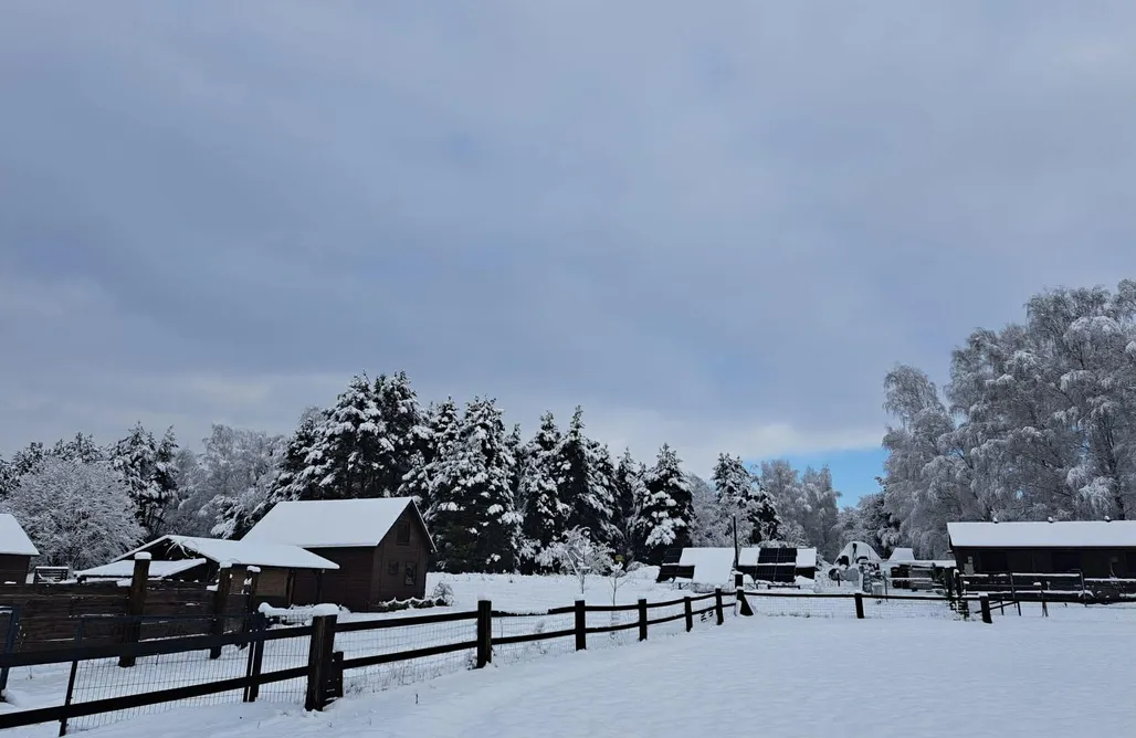 noclegi AlohaCamp Chatka na Wiedźmiej Górce - lawenda i werbena 4