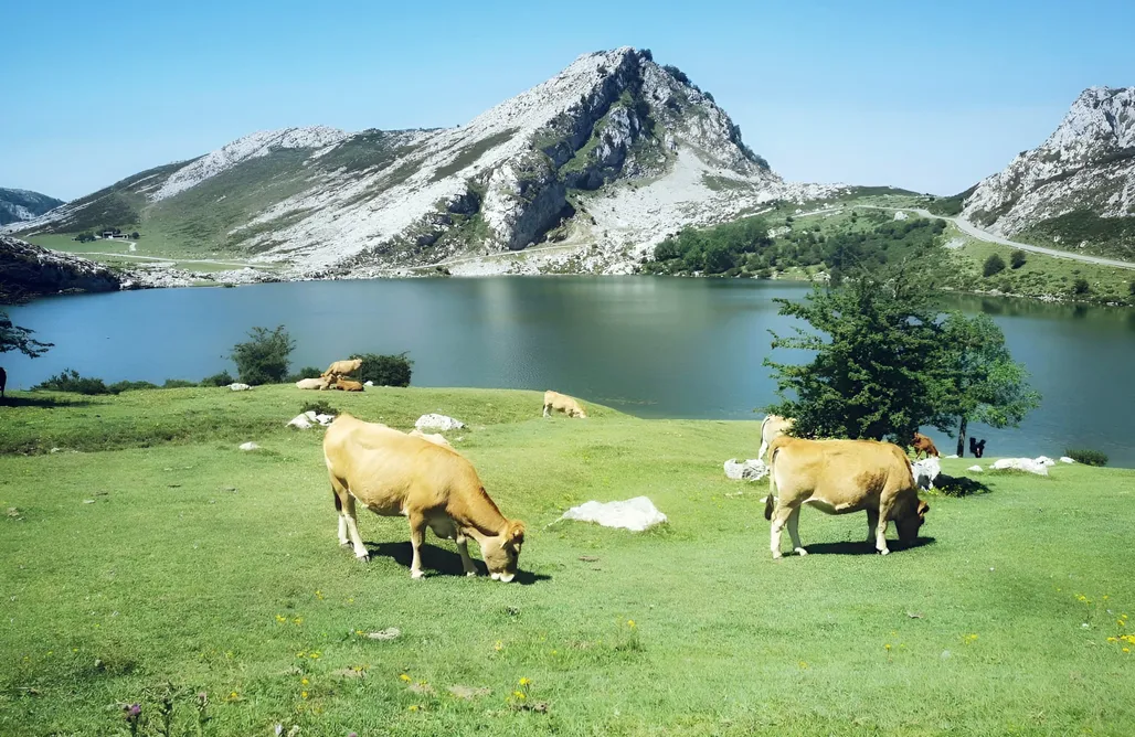 Alloggi AlohaCamp Casa Zalo 1