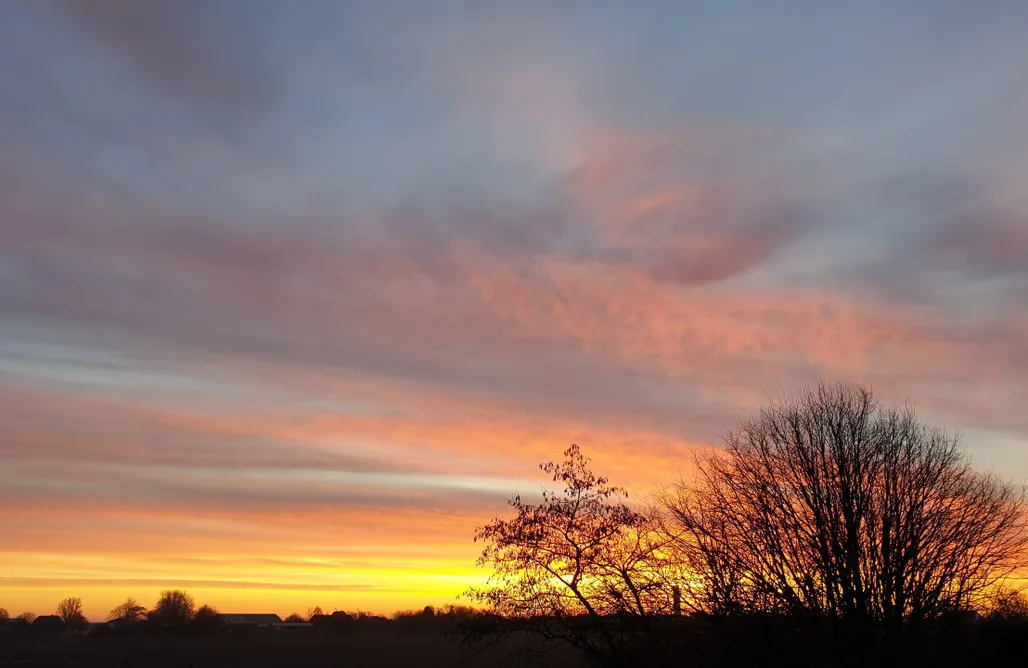 Ferienhaus direkt am Strand Swanen Hus am Meer mit Garten 1