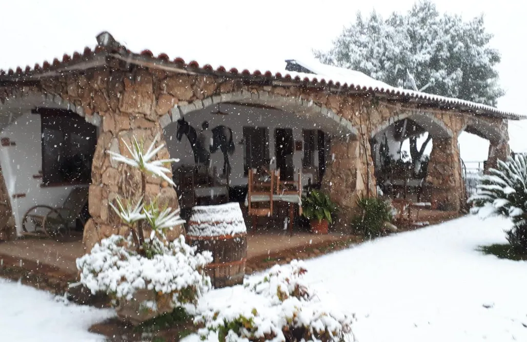 Agriturismo Bari Affittcamere Jannas 1