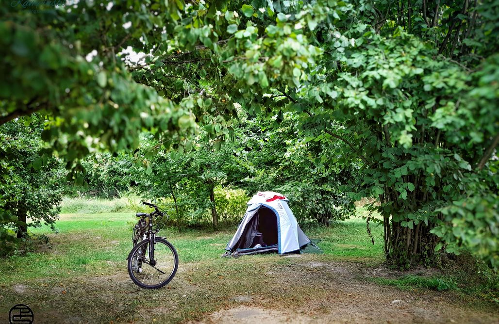 AlohaCamp Kampinski Campground  1