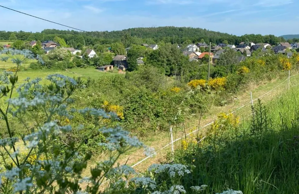 alojamientos AlohaCamp Auszeit Ferienhaus  1