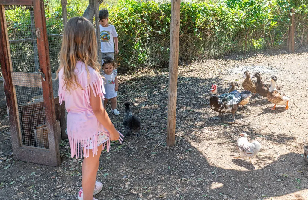 ubytování AlohaCamp Tierra de Arte - Casa del Árbol, Cabaña Triángulo y Carromato de Circo 1