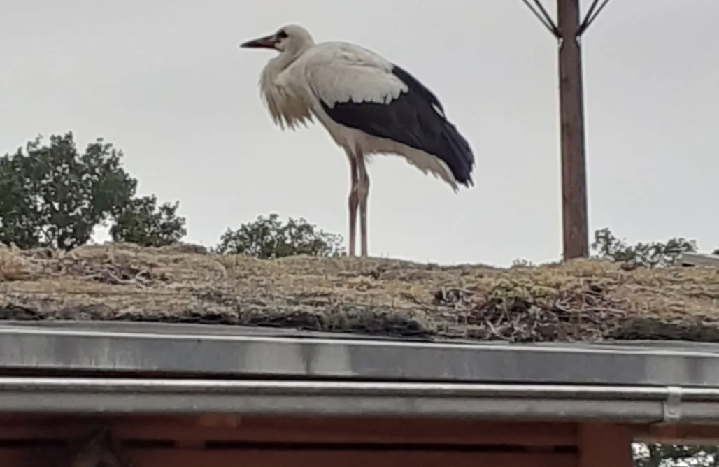 Tiny House Normandie Tinyhaus Nid de Cigogne 1