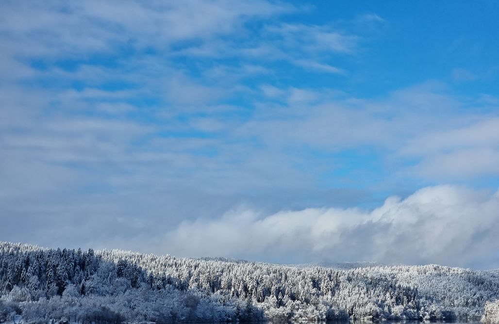 AlohaCamp Villa Słońce 1