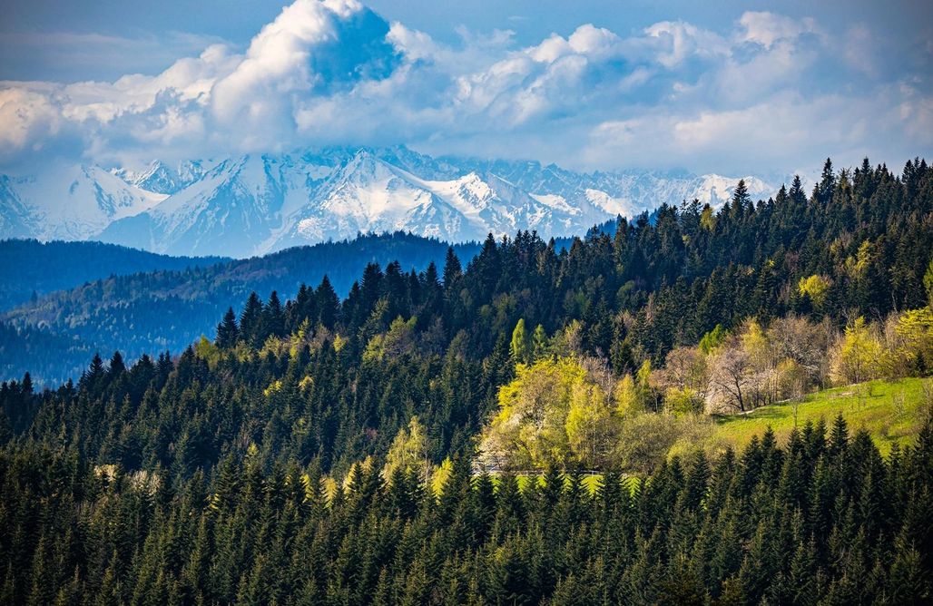 noclegi AlohaCamp Chata na wysokości niżej (800 m n.p.m.) 5
