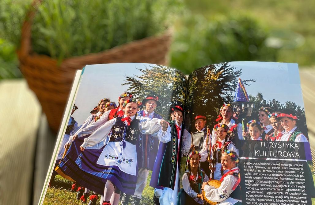 noclegi AlohaCamp New Forest  1