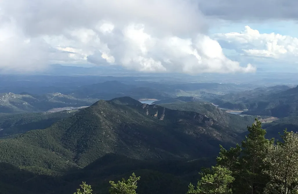 alojamientos AlohaCamp Ca la Cèlia 1