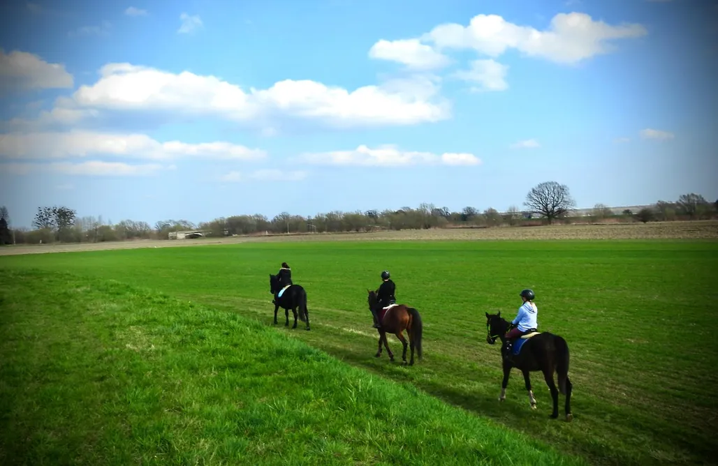 Alloggi AlohaCamp Ranczo Łubowice - Wynajmij sobie spokój! 1