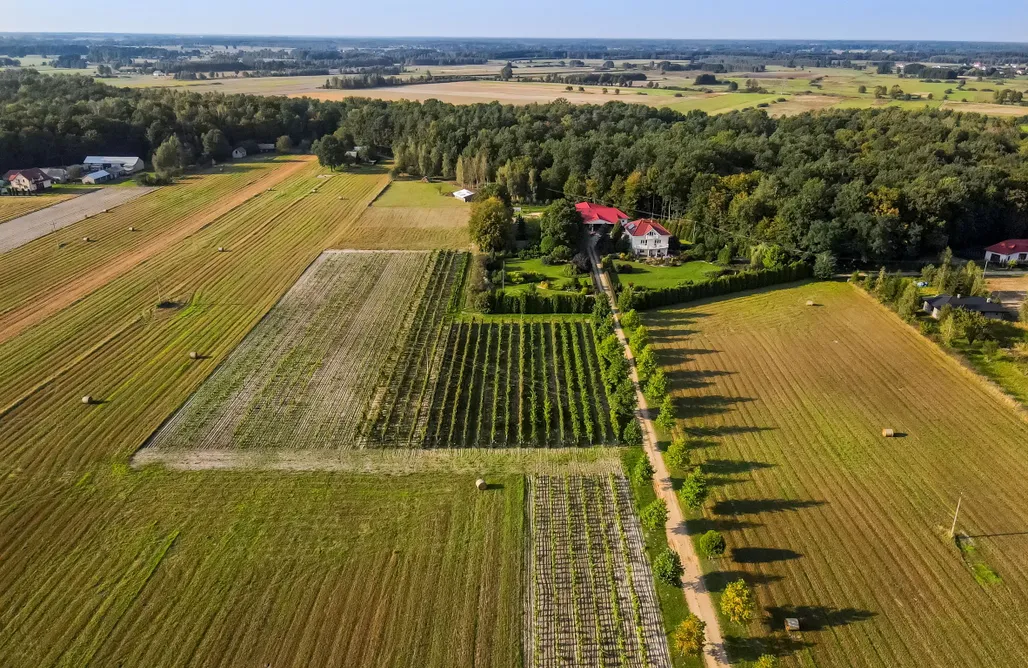 Miejsce kamperowe - Winnica Sienkiewicz AlohaCamp