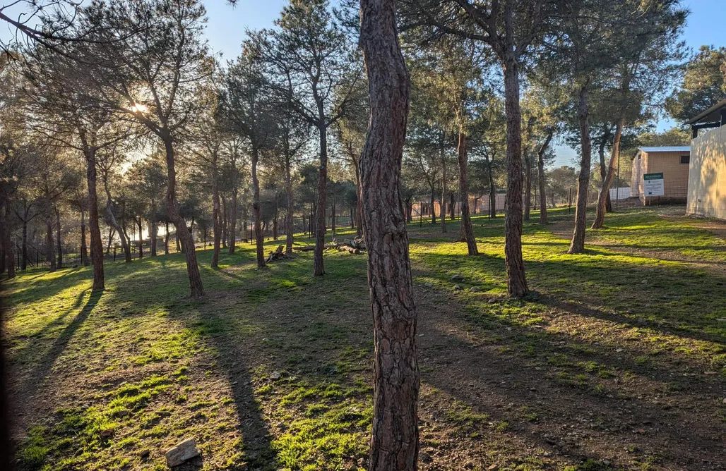 AlohaCamp CHOZOS RURALES  1